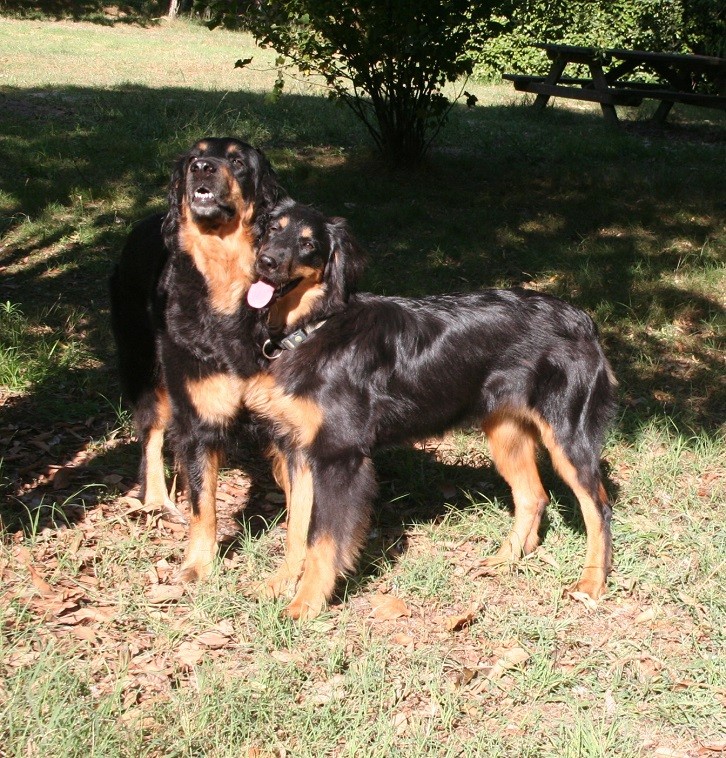 Avec maman