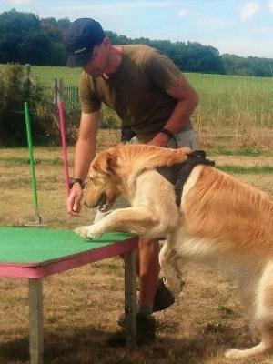 Apprentissage en agility