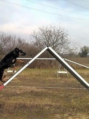 Agility