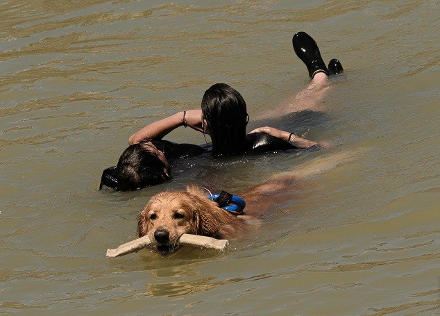 Entraînement sauvetage à l'eau