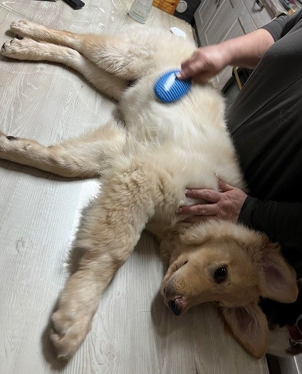 Petite séance de toilettage