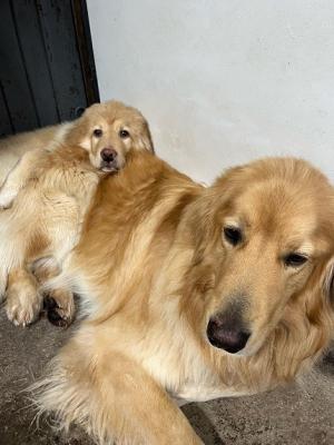 Avec mon grand (demi) frère Usko...