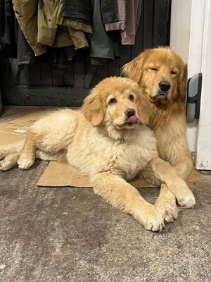 (Même papa. Sa maman à lui, c'est Syzygie)