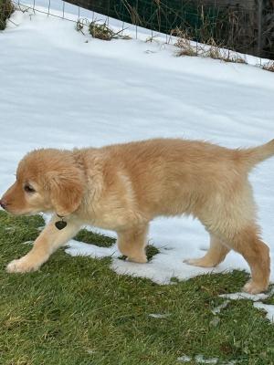 Arrivée à la maison et découverte de la neige